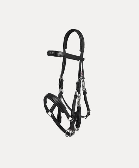 BRIDLE-ENDURANCE