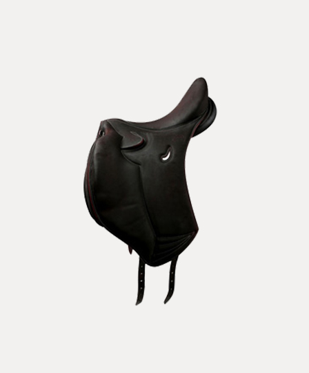 SADDLEBLACK