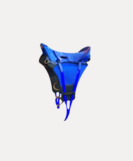 SADDLEOLDB