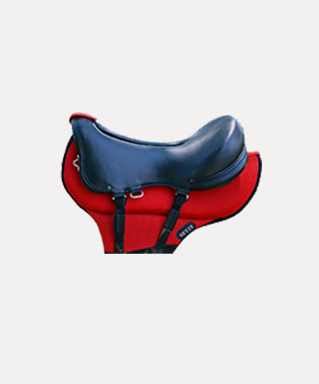SADDLERED